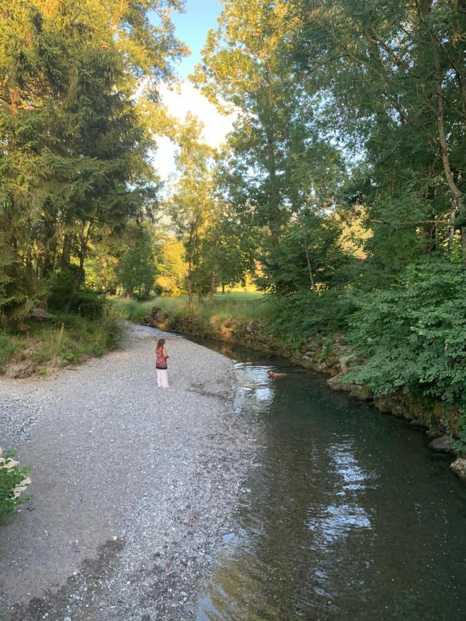 Petit Cocon Entre Lac, Golf Et Montagne, Proche D'Annecy Giez Exterior foto